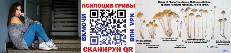 Галлюциногенные грибы MAGIC MUSHROOMS Ермолино